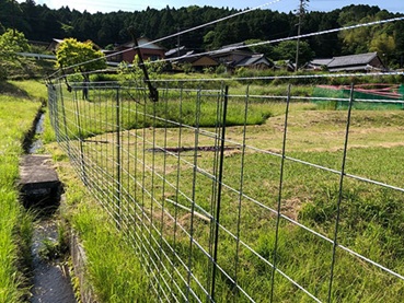 電気柵と金網の組み合わせ