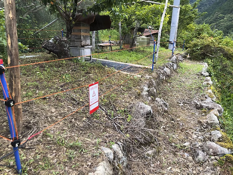 電気柵