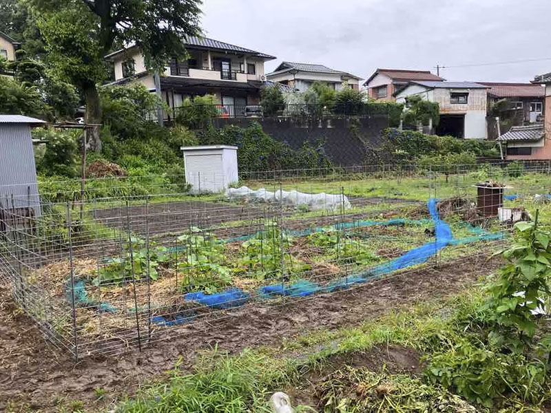 金網(金属柵)
