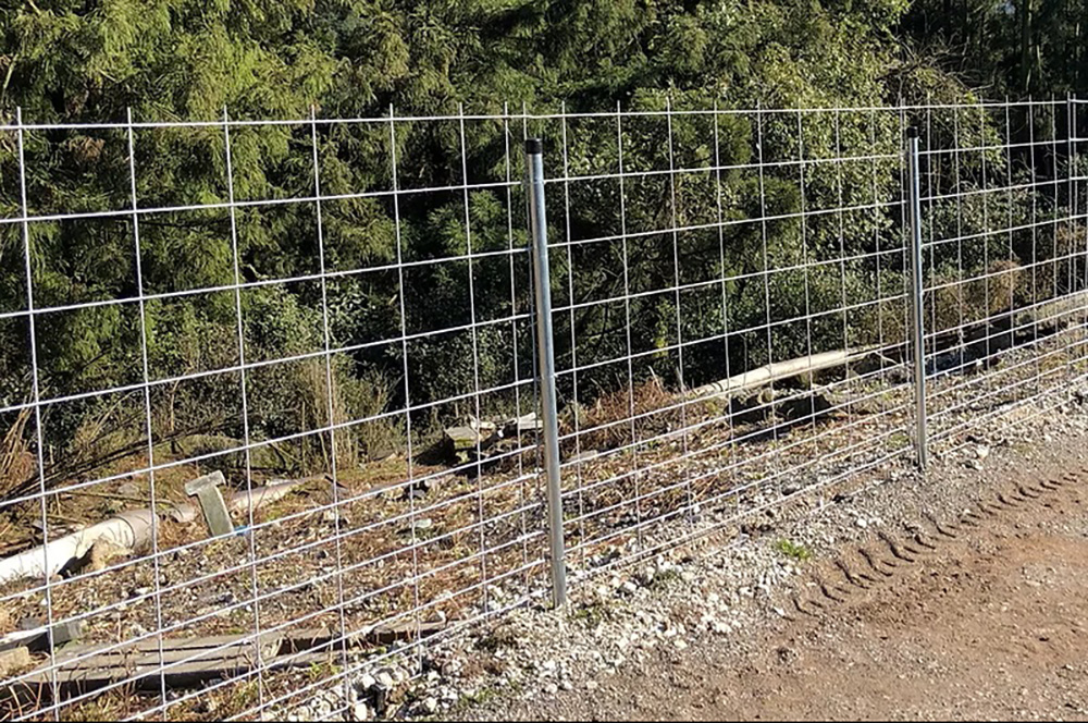 イノシシ　ワイヤーフェンス