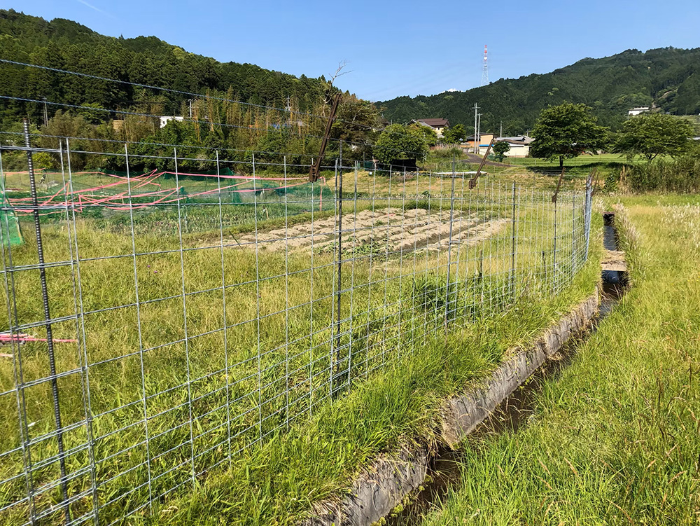シカ_ワイヤーメッシュ+電気柵