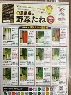 秋野菜種カタログ配布中