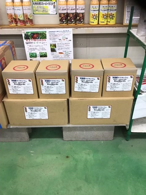 苗の徒長防止について