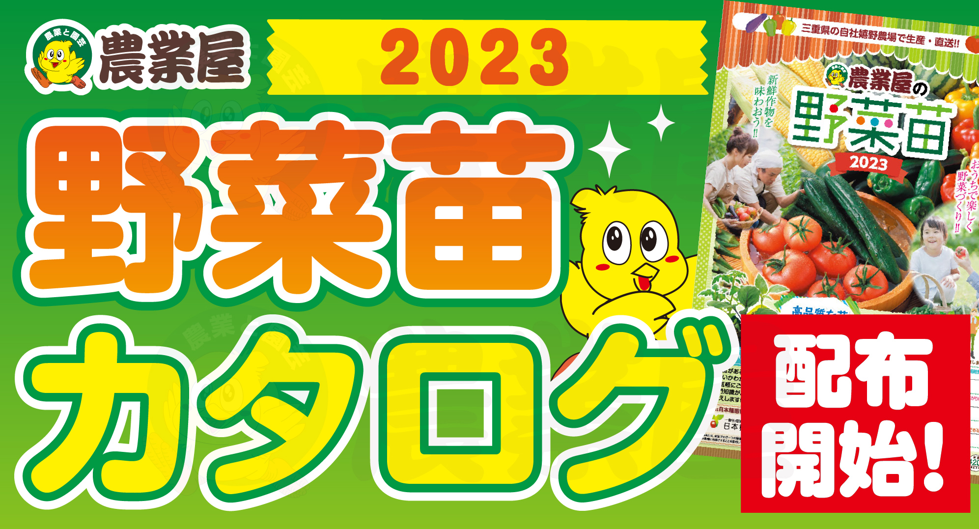 2023年　春の野菜苗カタログ！！