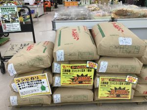 コシヒカリ玄米大特価セール中です！！