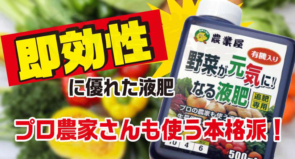 夏野菜の追肥にオススメです！