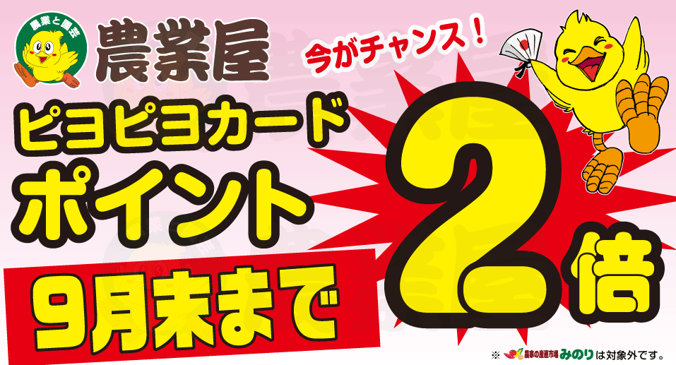 8月1日〜9月30日まで、ぴよぴよカードポイント2倍キャンペーン！