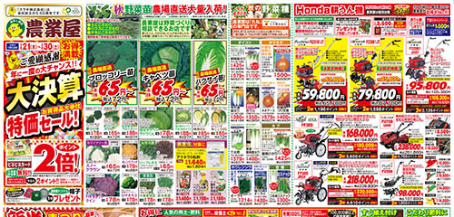 大決算セール！野菜苗大量入荷！