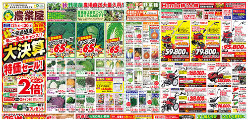 大決算セール！野菜苗大量入荷！