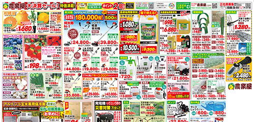 柑橘苗、ブルーベリー苗、いちご苗など