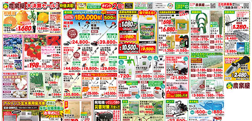 柑橘苗、ブルーベリー苗、いちご苗など