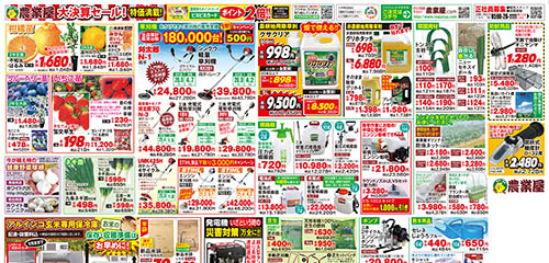 柑橘苗、ブルーベリー苗、いちご苗など
