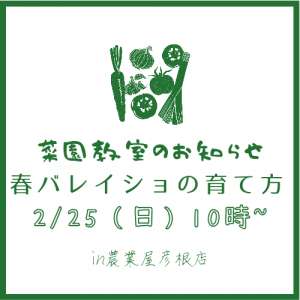 2/25菜園教室のお知らせ🥗