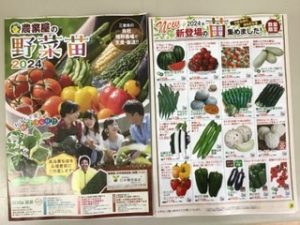 野菜種・苗カタログ配布始めました！
