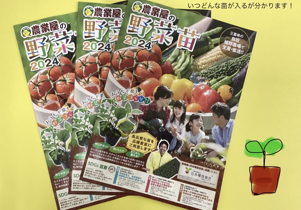 2024年の夏野菜苗カタログをお配りしています！