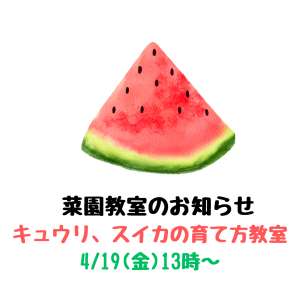 4/19(金)菜園教室のお知らせ🍉🥒