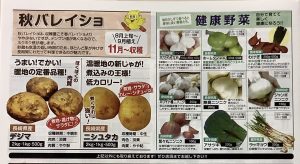 秋バレイショ種・健康野菜球根ご予約受付中！！