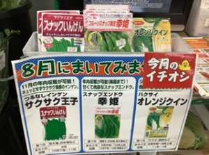 8月種子の案内、また蒔けるよ❗️もう蒔けるの⁉️これから蒔けますね（笑）