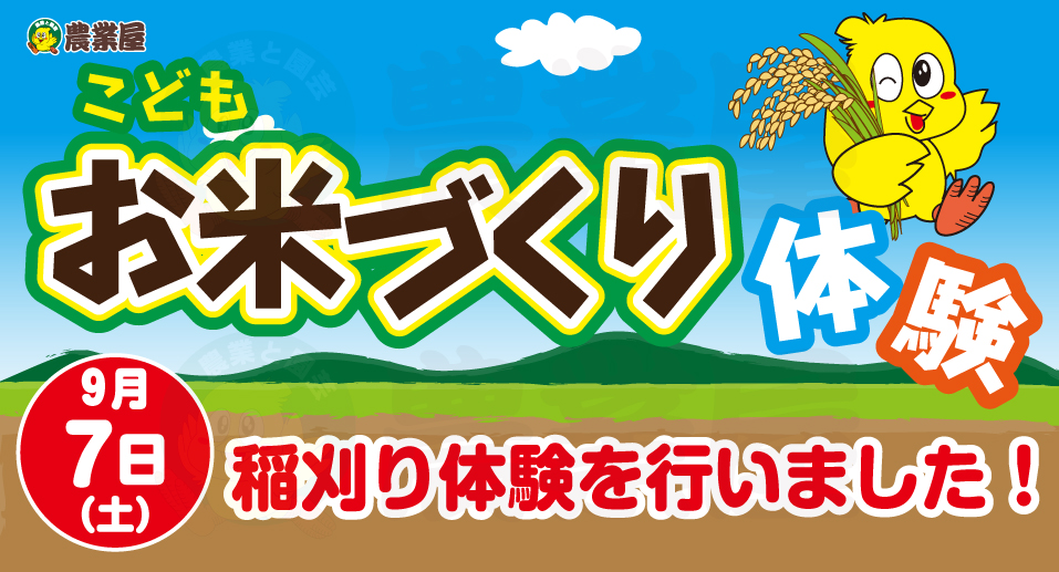 松阪市で稲刈り体験を開催しました！