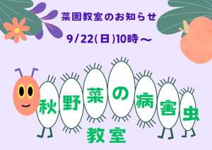 9/22(日)菜園教室のお知らせ🐝