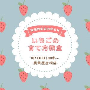 10/13(日)菜園教室のお知らせ🍓