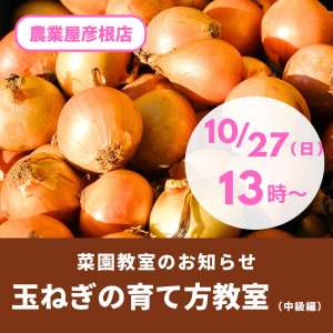 10/27(日)菜園教室のお知らせ🧅