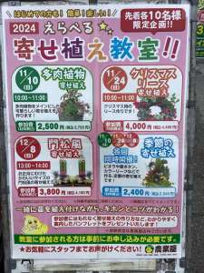 寄せ植え教室　参加者募集中！！💐