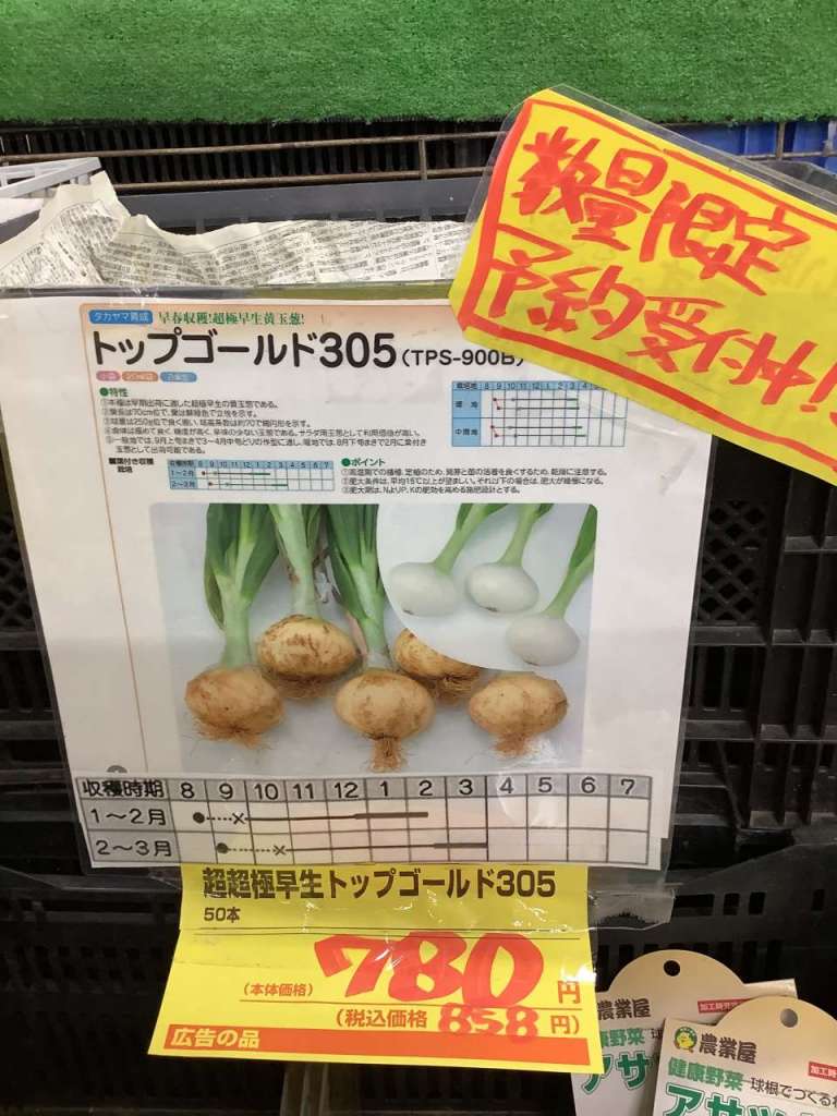 超極早生よりももっと早く採れる！「超超極早生タマネギ」入荷しました！！