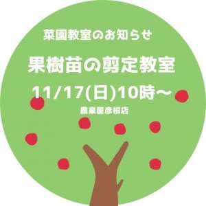 11/17(日)菜園教室のお知らせ🍊