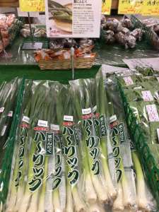 珍野菜登場‼️