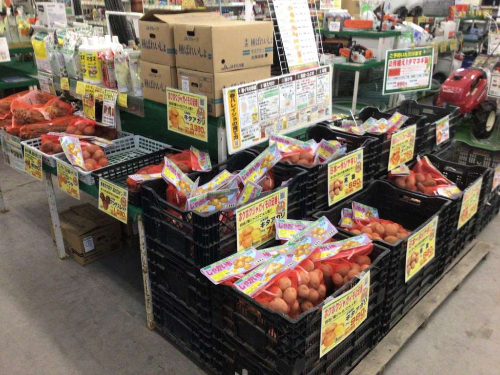 【好評販売中！】🥔春じゃがいもの種芋各種入荷しました🥔