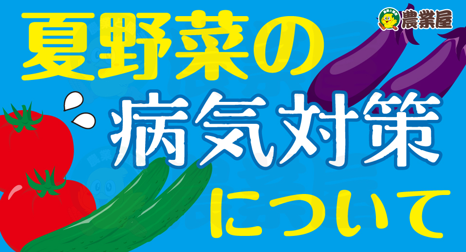 夏野菜の病気対策について