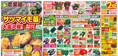 サツマイモ苗大量入荷！5月の栽培管理応援セール！