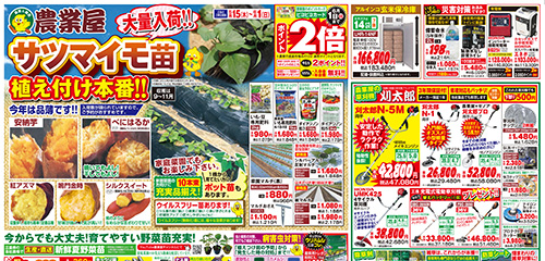 植え付け本番！サツマイモ苗大量入荷！野菜苗も充実！