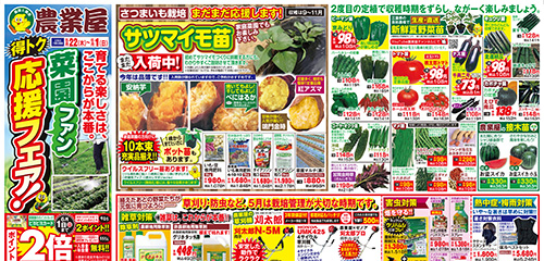 菜園応援フェア！サツマイモ苗まだまだ入荷中！5月の栽培管理特集