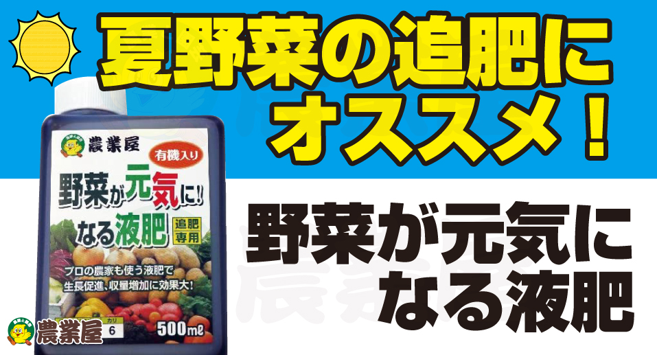 夏野菜の追肥にオススメ、野菜が元気になる液肥！