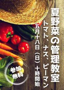 5/18(日)菜園教室のお知らせ🍅