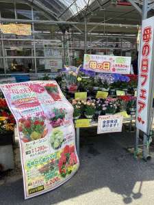 5月11日は母の日です♪