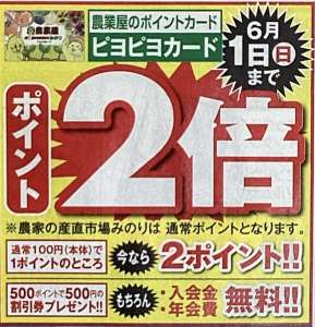 【お急ぎください！】ポイント2倍は6月1日まで！