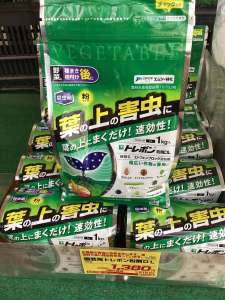 夏野菜の病害虫について