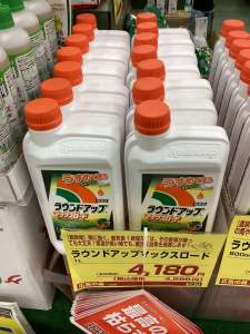 雑草対策について