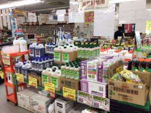 除草剤を使って雑草対策をしましょう‼️