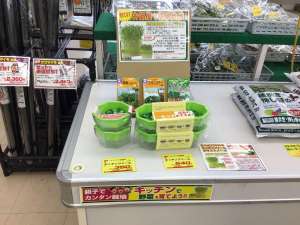 賑わってますよ〜🥬🍅🫛🍆🫑🌽🌶️🧅🍠🥒
