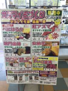 サツマイモ販売中！