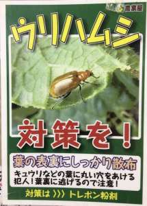 病害虫相談は農業屋まで❗️