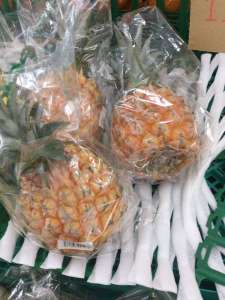 石垣島よりパイナップルが入荷してきました！