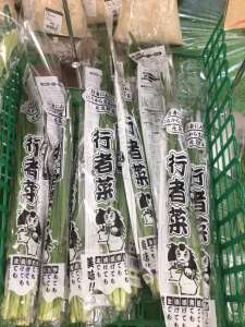 山形県産行者菜が入荷してきました！