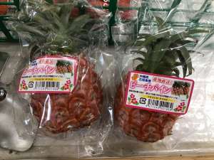 🍍ピーチパイン入荷しました🍍
