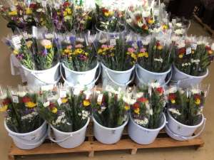 仏花も販売してますよ🫡