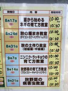 菜園教室のお知らせ‼️‼️